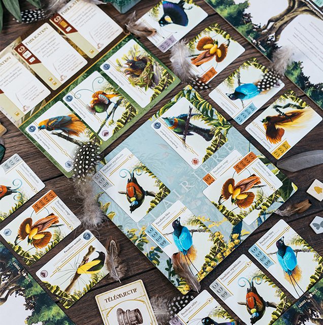 Oiseaux de Paradis